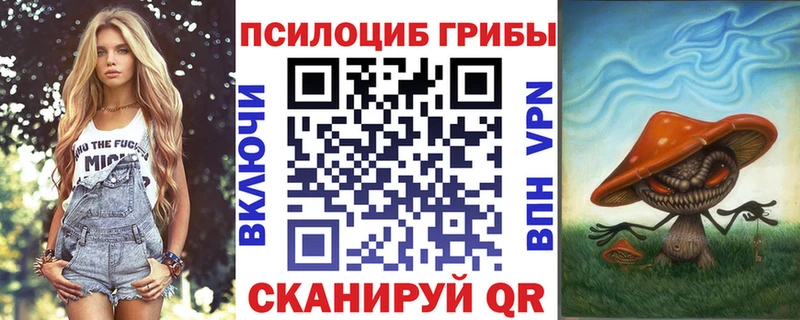 Псилоцибиновые грибы Cubensis  закладка  kraken ТОР  Вуктыл 